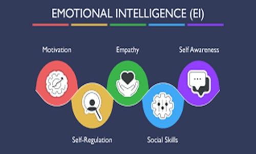 Emotional Intelligence and Leadership in Organizations